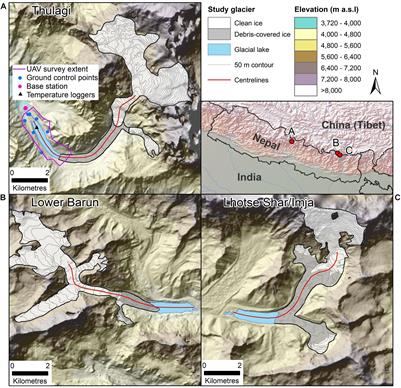 Mass Loss From Calving in Himalayan Proglacial Lakes